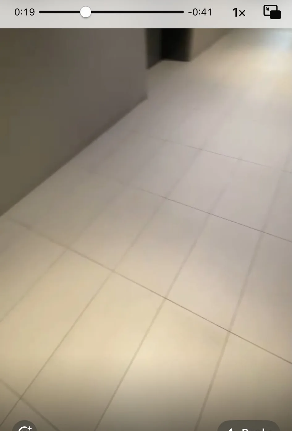 Floor after professional cleaning - project 4
