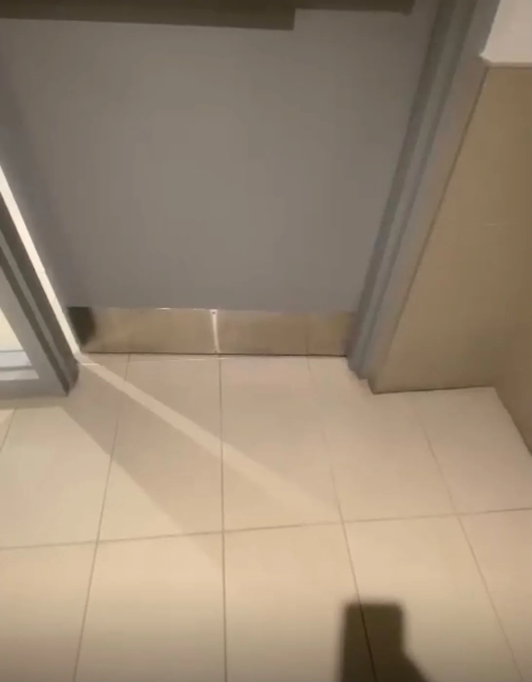 Floor after professional cleaning - project 6